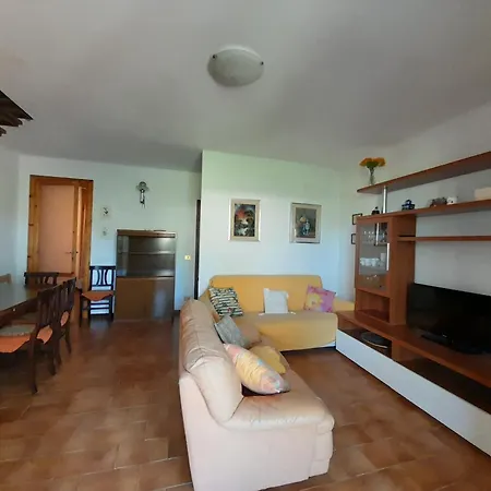 Orata 8c