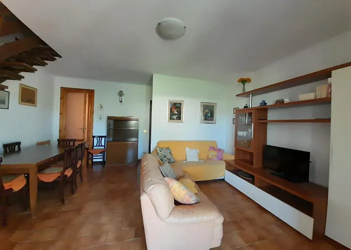 Orata 8c